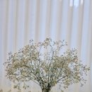 송현 농장 이미지