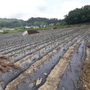 금가면사무소 이미지