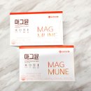 유한회사 동인 | 남편을 위한 마시는 마그네슘 추천 :: 유한양행 마그뮨