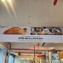 이곳은 빵집인가 커피숍인가?! &lt;엔제리너스 구로디지털점&gt; 내돈내산 솔직후기