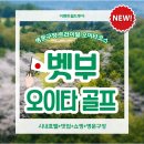 CC아케이트 | 🇯🇵 나만 아는 오이타 골프/ 트라이얼 오이타코스 라운딩 솔직후기