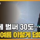 피데스컨설팅