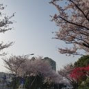 경찰서 뒷길 이미지