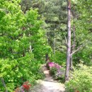 독골저수지 이미지