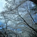 사유시