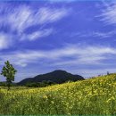 수변1공원 이미지