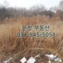 e비전부동산공인중개사사무소 | 택지