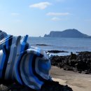 우도에 가면 이미지