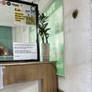 조아라 플라워 | 3월 필리핀 세부 여행(2일차) 시라오 플라워 가든