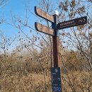 수입2교 이미지