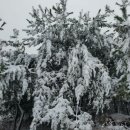 황령산순환도로 이미지