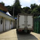 곤드레만드레 이미지