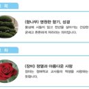 정애학교 이미지