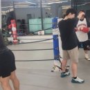 복싱그자체 이미지