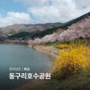 화순 군내버스터미널 | 화순 동구리호수공원 실시간 전남 벚꽃 명소 드라이브