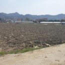 단월초교 병설유치원 이미지