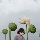 꽃과사람들 이미지