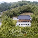 죽녹원
