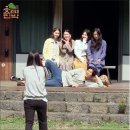 효리네 민박 이미지