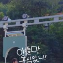 구갈레스피아_M 이미지