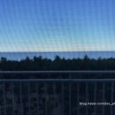 펫-오션 이미지