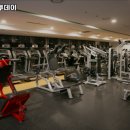 휘트니스투데이 이미지