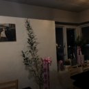 온화담 이미지