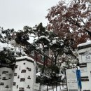 [경복궁/서촌] 사색이 필요 할 때 혼자가기 좋은 브런치 카페, ‘에코레 카페 앤 그로서리’