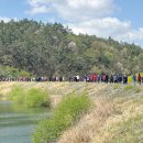 해남군 보건소 앞 이미지