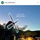 숲 쉬어라