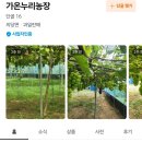 가온누리농장 이미지