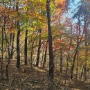 서봉산 산림욕장 1 | 화성 서봉산 산림욕장 가벼운 등산 코스 뷰 좋은 전망대