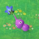 청도공설운동장축구장 | 청도 반시마라톤 대회 참가(청도 반시런) 후기, 청도 찜질방 군불로 내돈내산 솔직후기