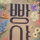 2025년 뮤지컬 추천 TOP 3 – 라이카, 레베카, 맨오브라만차 생생 후기