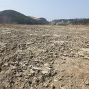 인천광역시 계양구 평동 13-6,14-1 지반조성공사 중 농지성토공사 | 인천 중구 을왕동 중구 토지(답)경매 물건 2023타경504919