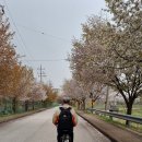 문산배수펌프장 이미지