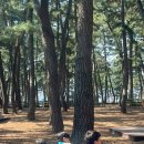 연곡면옥 이미지