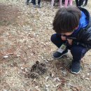 라온숲유치원 이미지