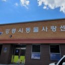 댕댕CLUB 이미지