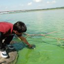 금강페인트 이미지