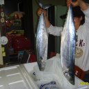 곡성-044 이미지