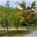 갤럭시공인중개사사무소 이미지