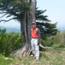 소도동(관) 이미지