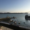 스타보드15 이미지