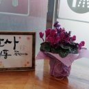 보리네펫미용 네이버블로그