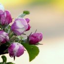 더원 행정사사무소 이미지