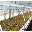 낙수농장 이미지