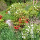 정각사입구 이미지