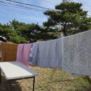 명인세탁 이미지