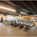 바디다짐 이미지